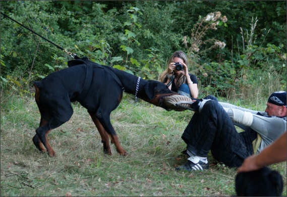 Summer training camp - Jelenec - 2007